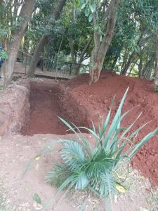 WhatsApp Image 2026-01-26 at 15.02.42 (1)