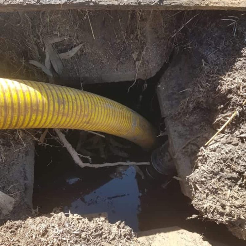 WhatsApp Image 2024-09-04 at 10.06.12